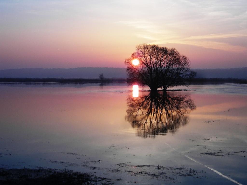 Ferienwohnung Am Hohennauener See Wassersuppe المظهر الخارجي الصورة